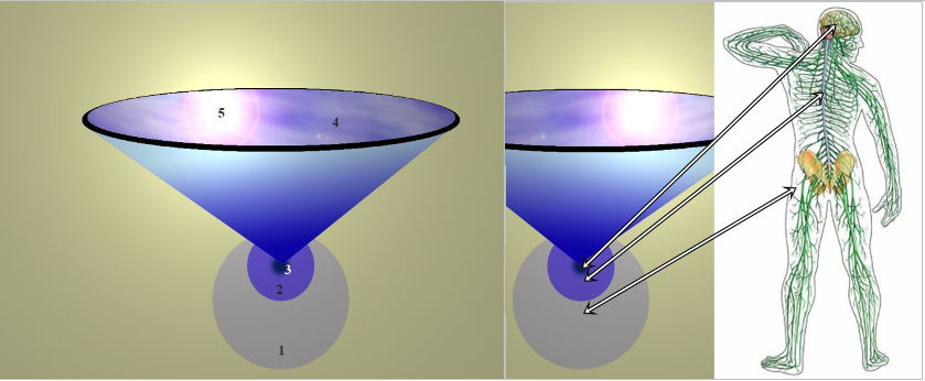 Fig. # 1 - human individual